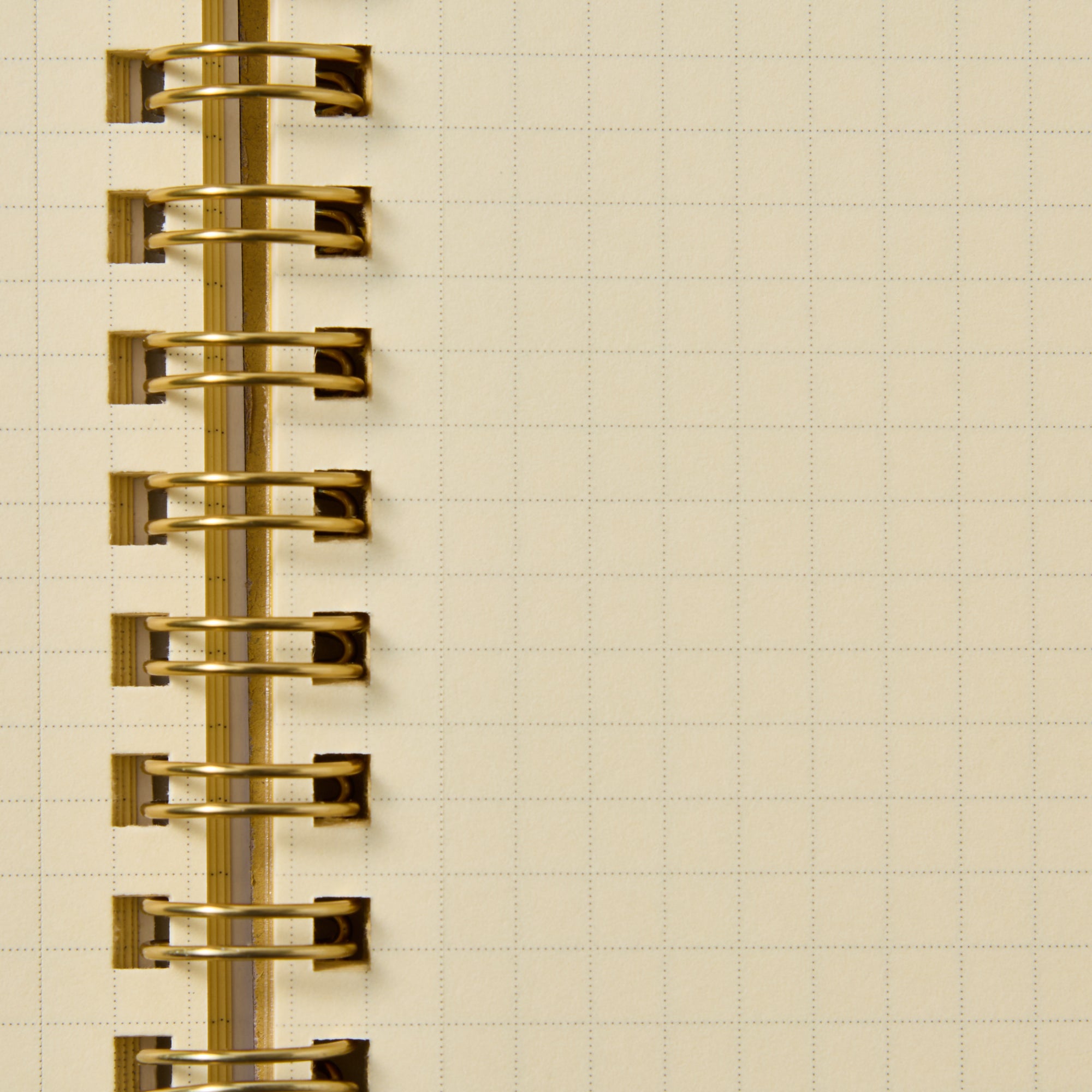 My Neighbor Totoro Rollbahn Notebook