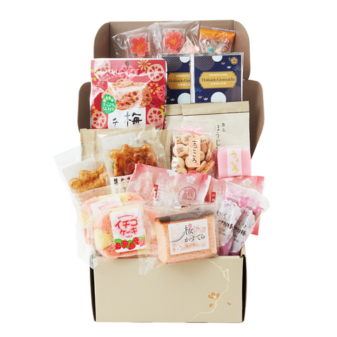 Sakuraco Shareable Snack Rescue Box