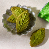 Shizuoka Green Tea Cookie