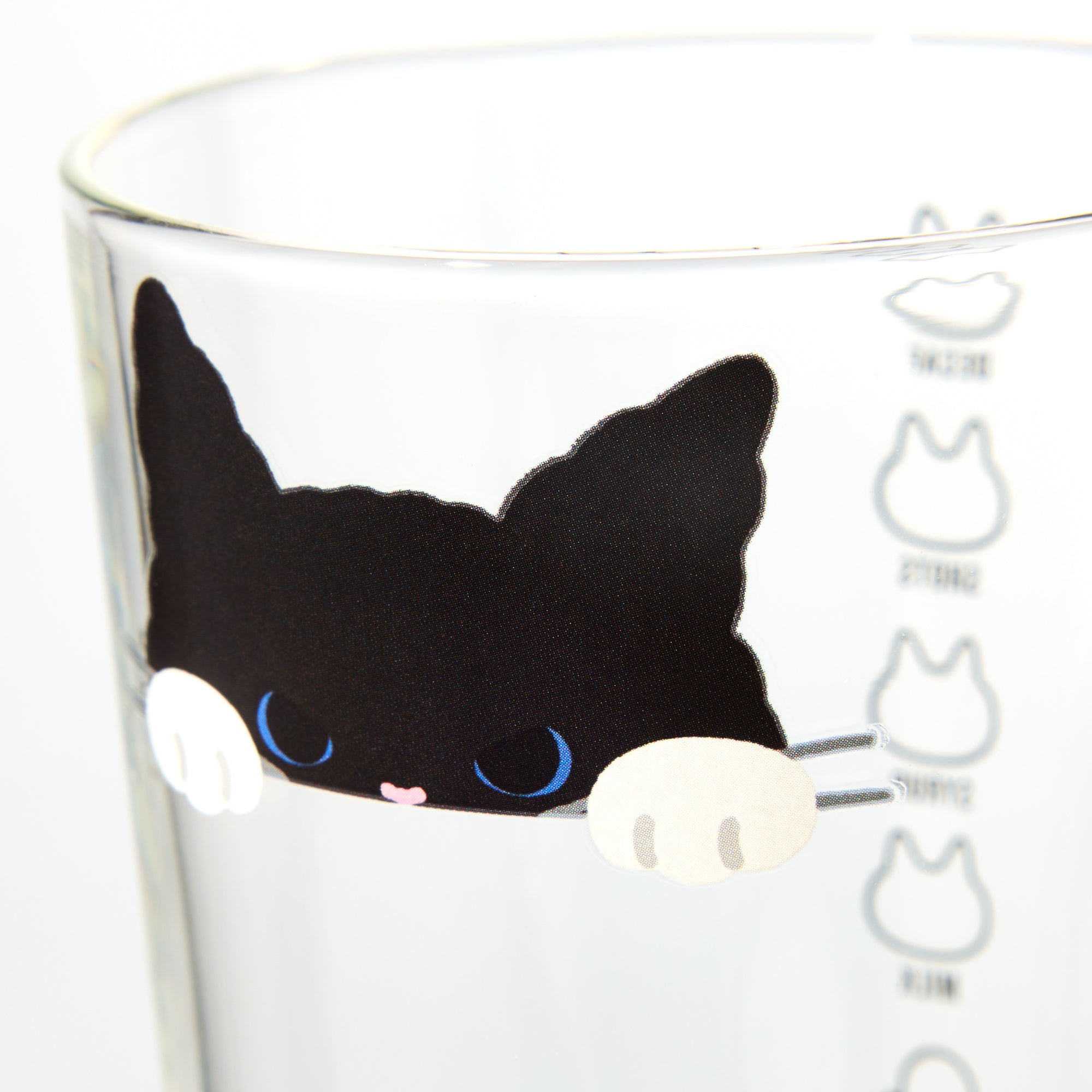 Starbucks Halloween 2025 Heat-Resistant Cat Glass Mug 296ml