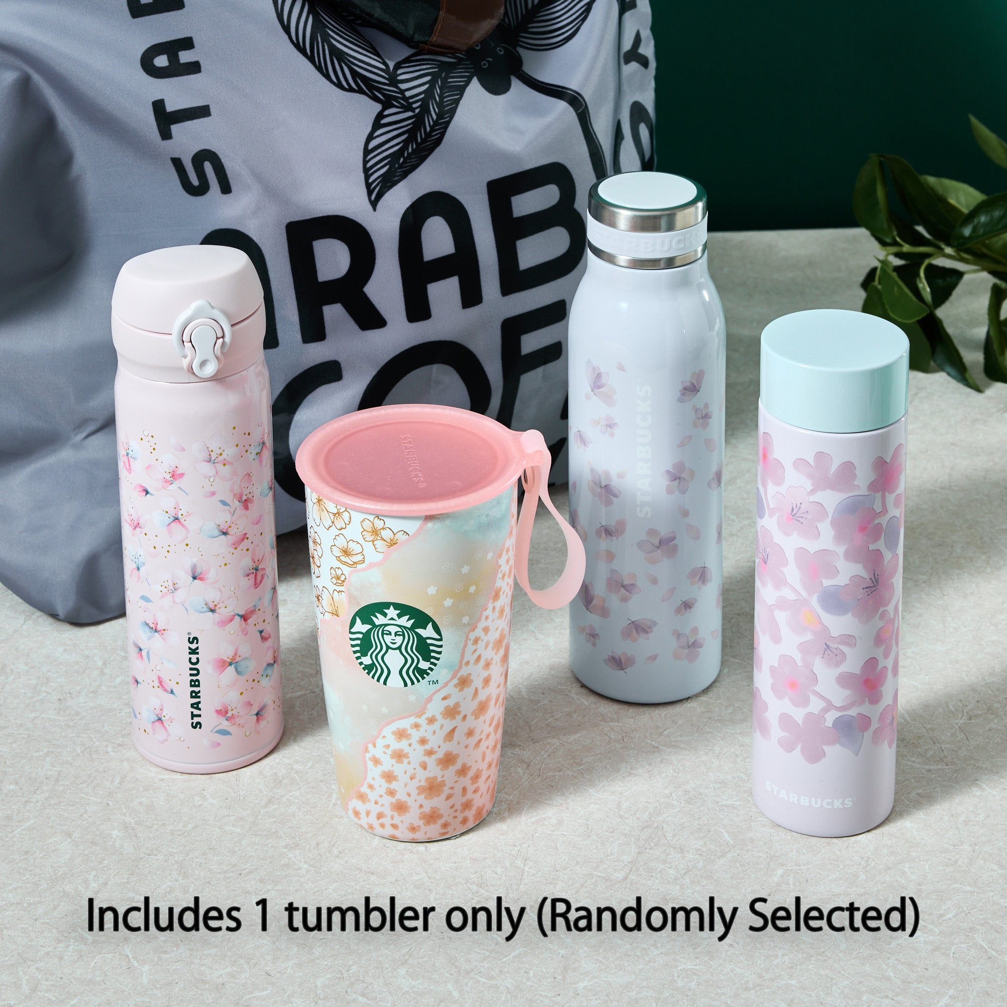 2026 Starbucks Japan Lucky Bag, – Japan Haul