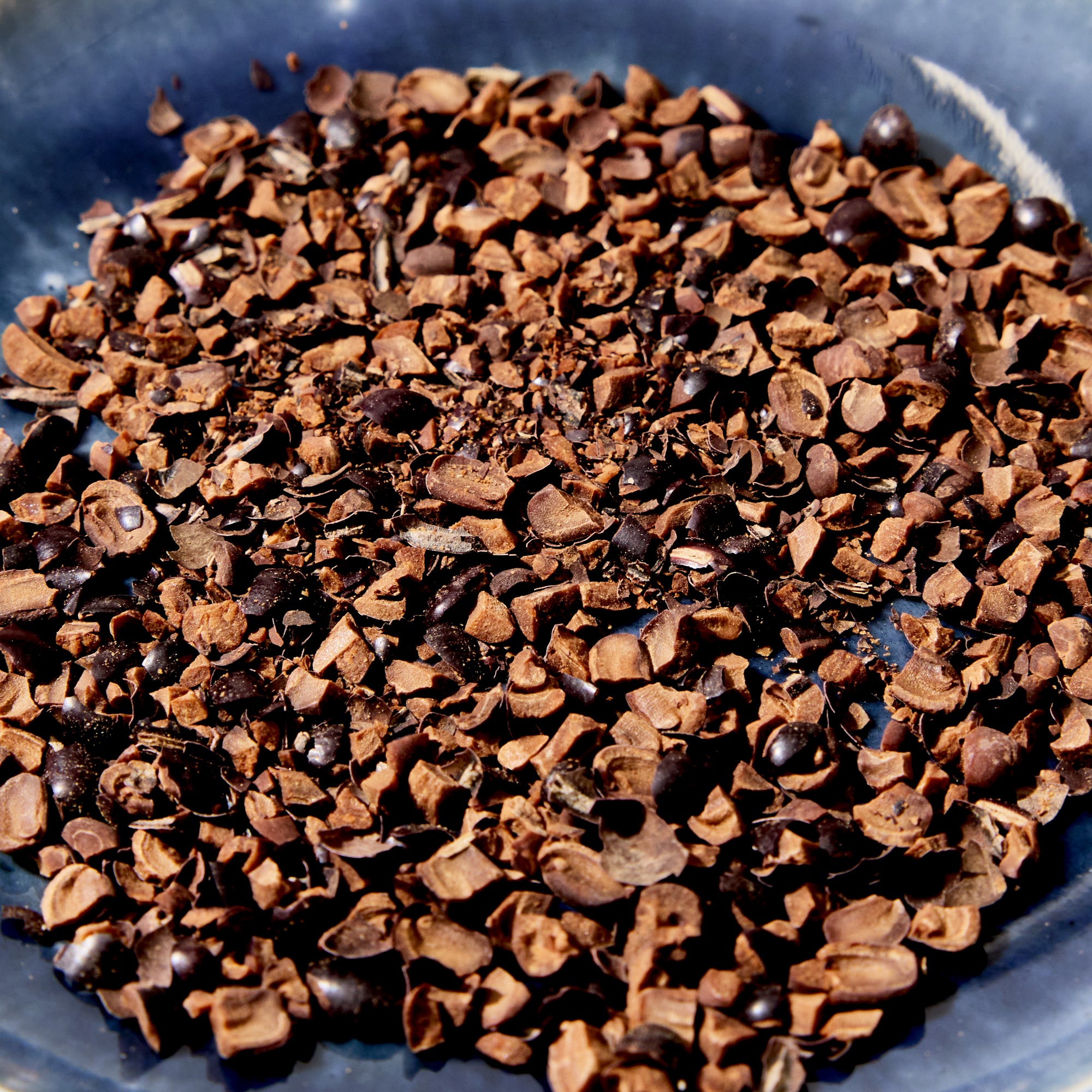 Hokkaido Adzuki Tea (10 pieces)