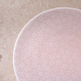 Miyama Mino Ware Sakura Saucer