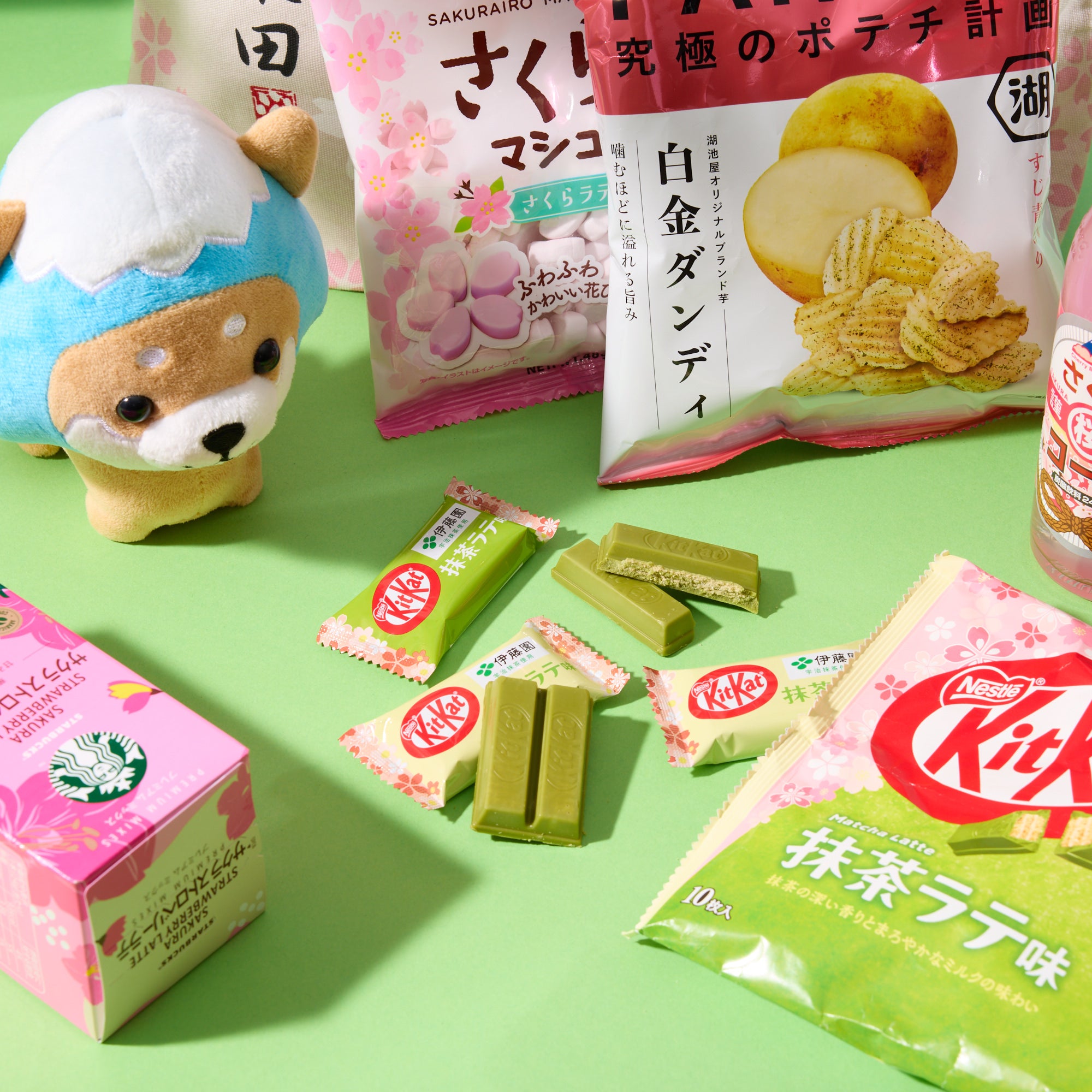 Sakura Shiba Inu Lucky Bag