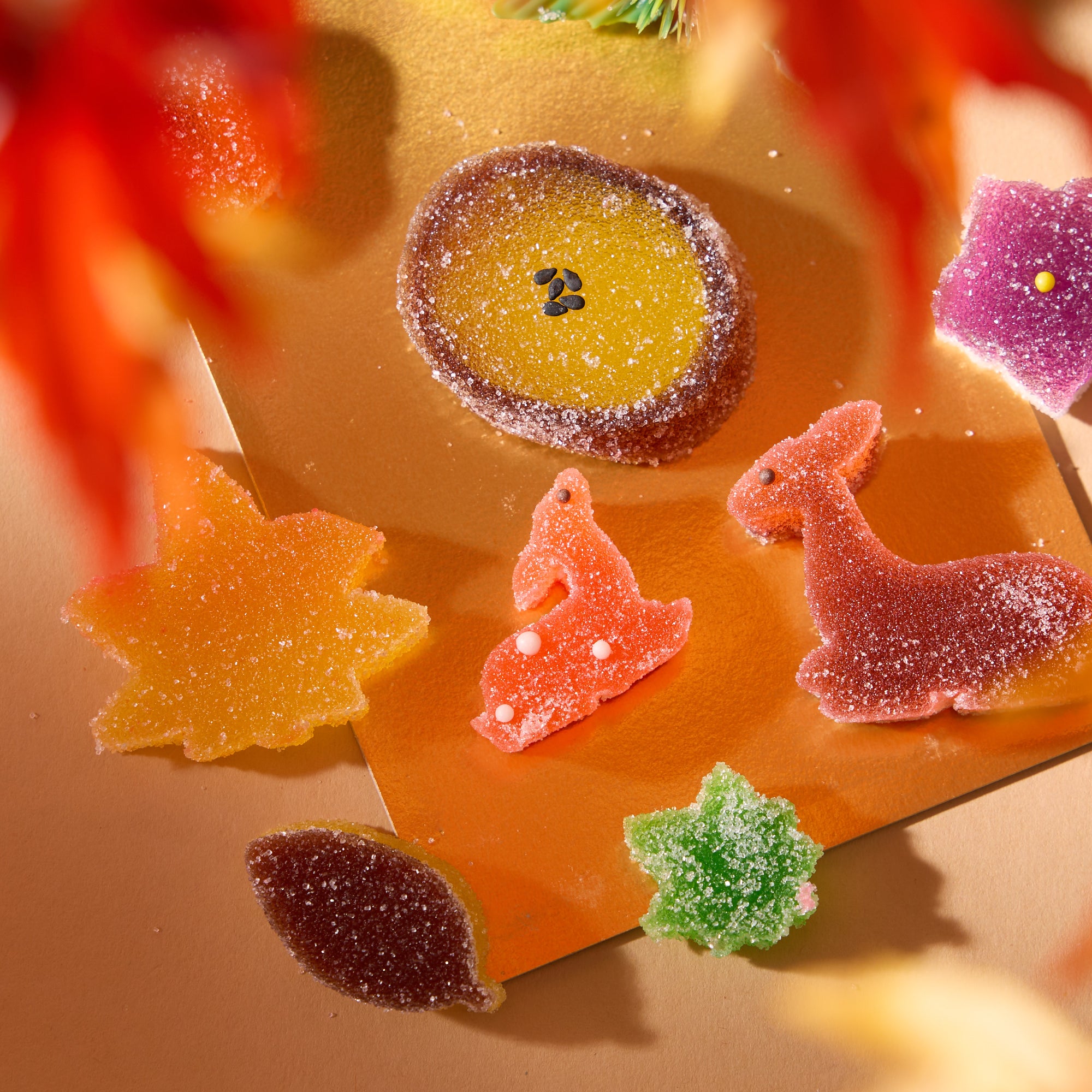 Autumn Wagashi Gummy