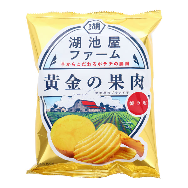 Koikeya Farm Potato Chips Roasted Salt – Japan Haul