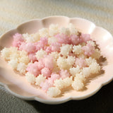 Neko Houjicha Tea Set Strawberry Milk