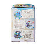 Re-Ment Pokemon Terrarium Collection Blind Box