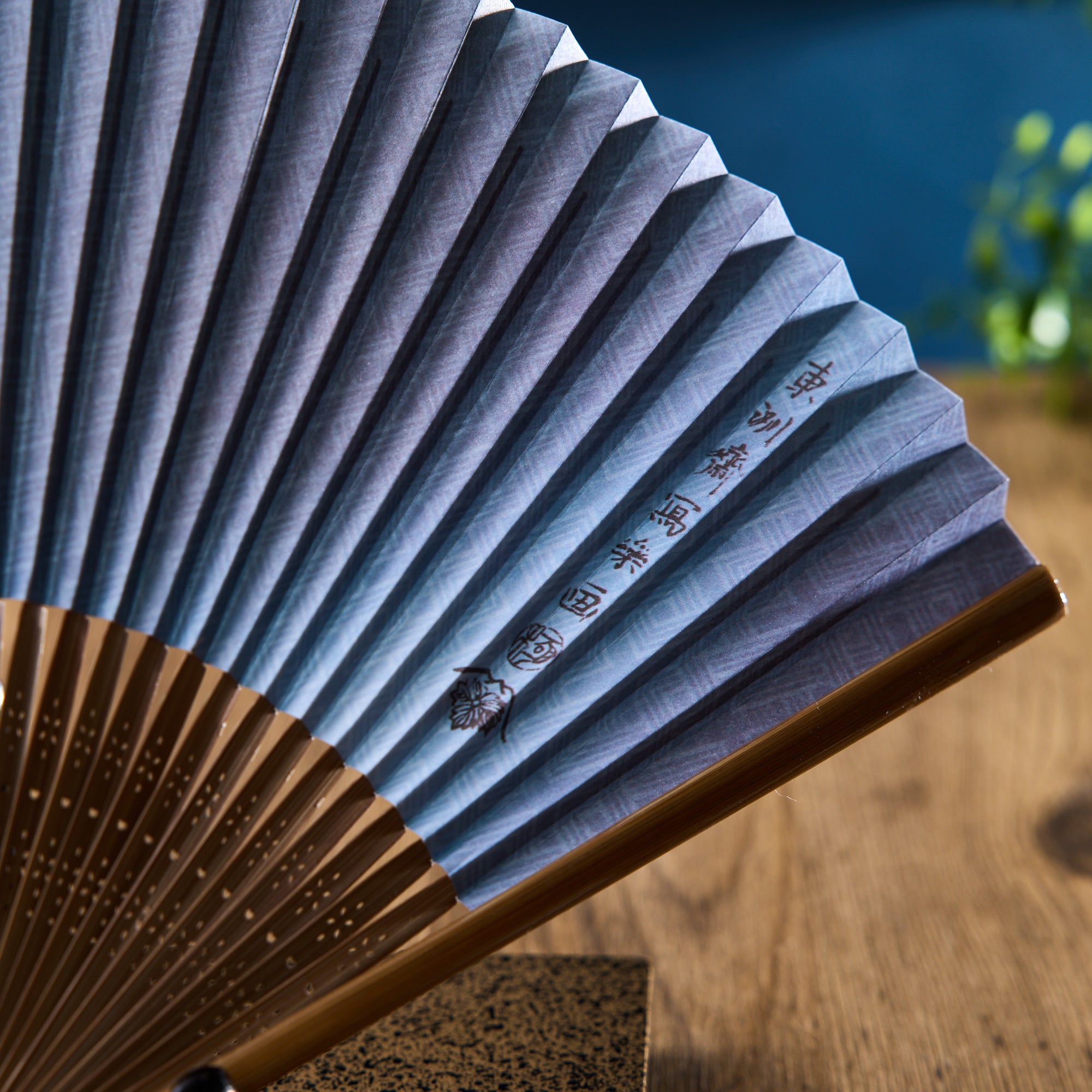 Kabuki Ukiyo-e Sensu Fan