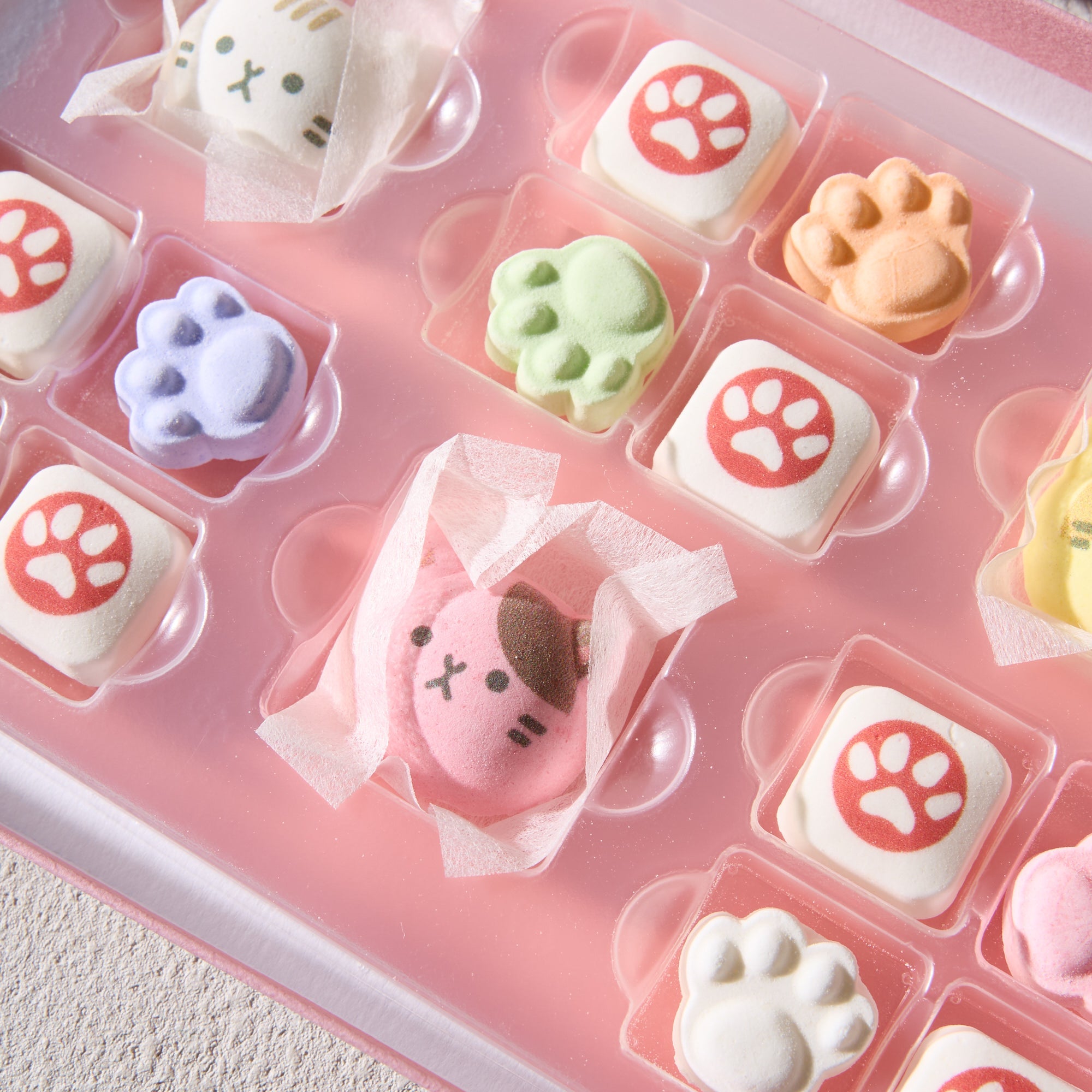Cat Wasanbon Candy