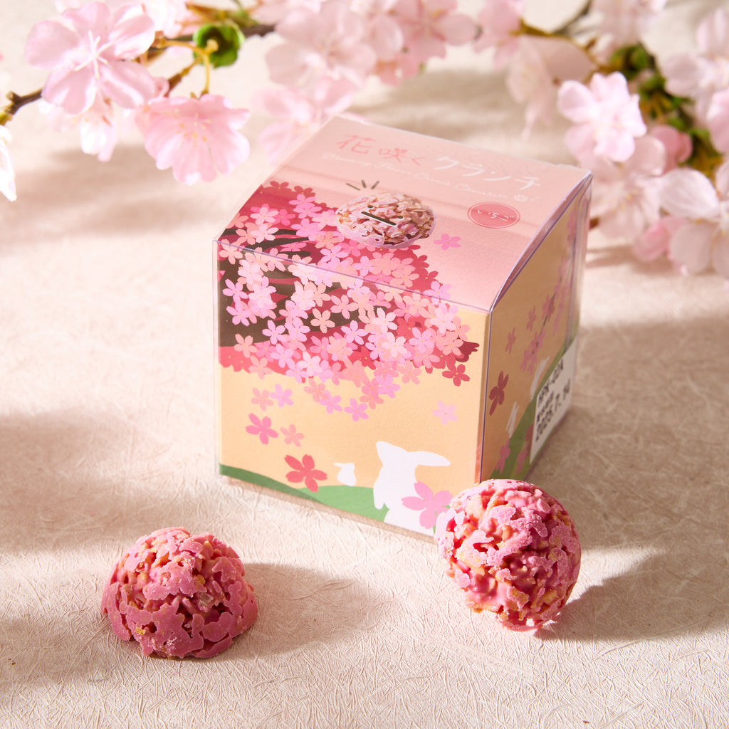 Sakura Crunch Chocolate Strawberry (4 pieces)