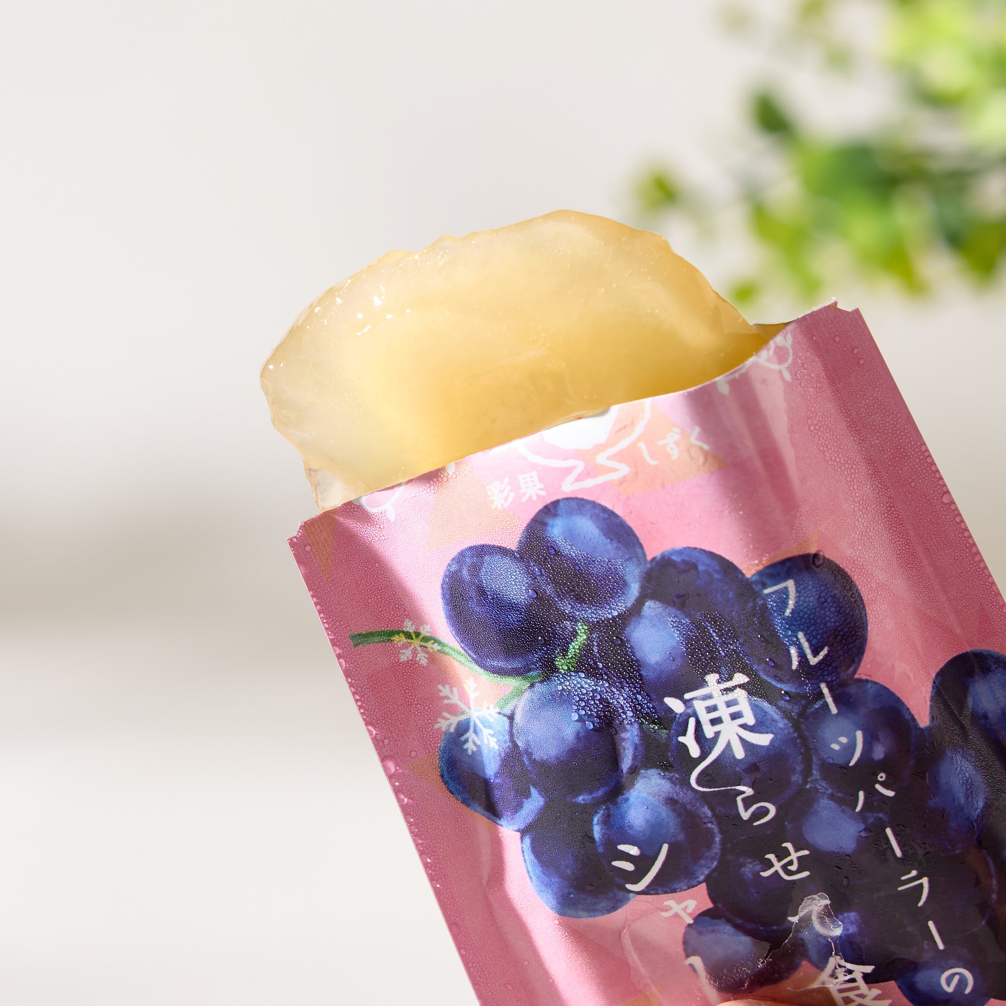 Hoshi Fruits Frozen Sorbet Jelly - Pione Grape – Japan Haul