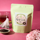 Kakegawa Ippudo Melon Hojicha Tea Pack (6 tea bags)