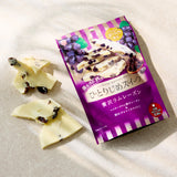 Hitorijime Sweets: Rum & Raisin White Chocolate Pieces