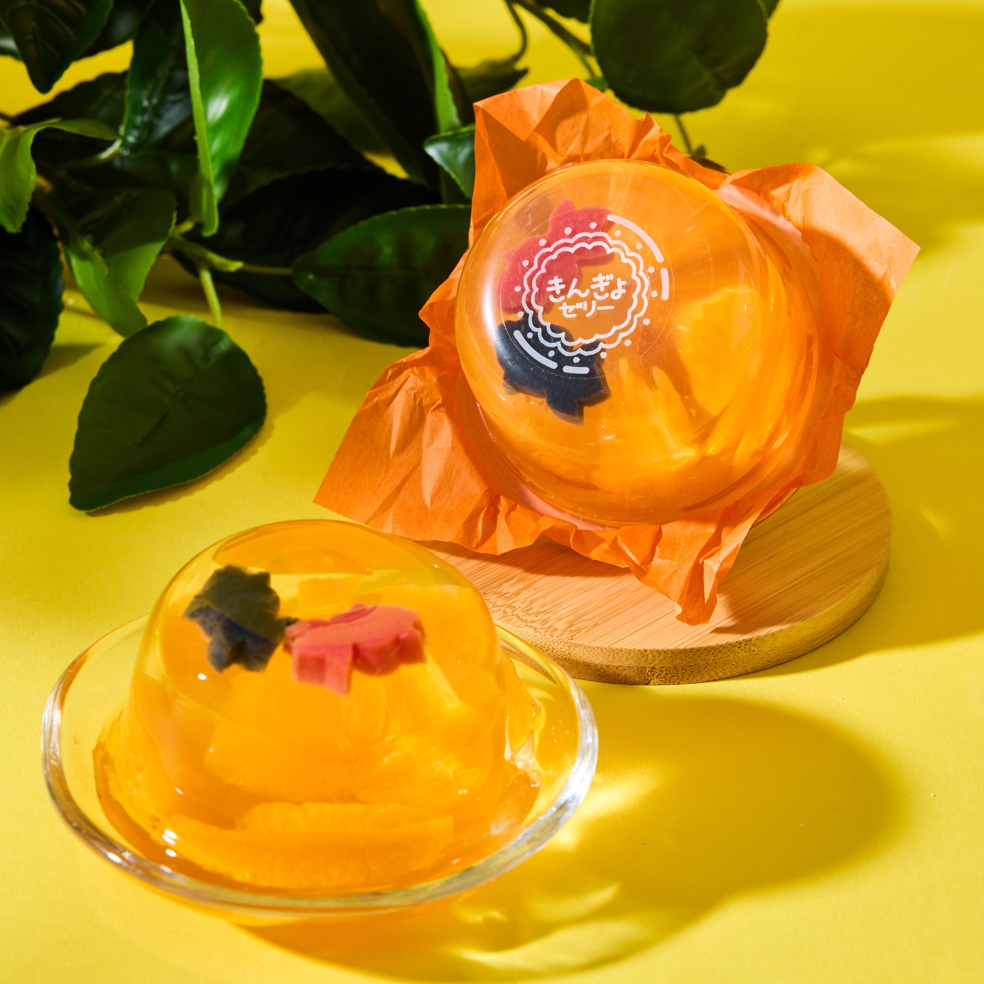 Goldfish Jelly - Mikan – Japan Haul