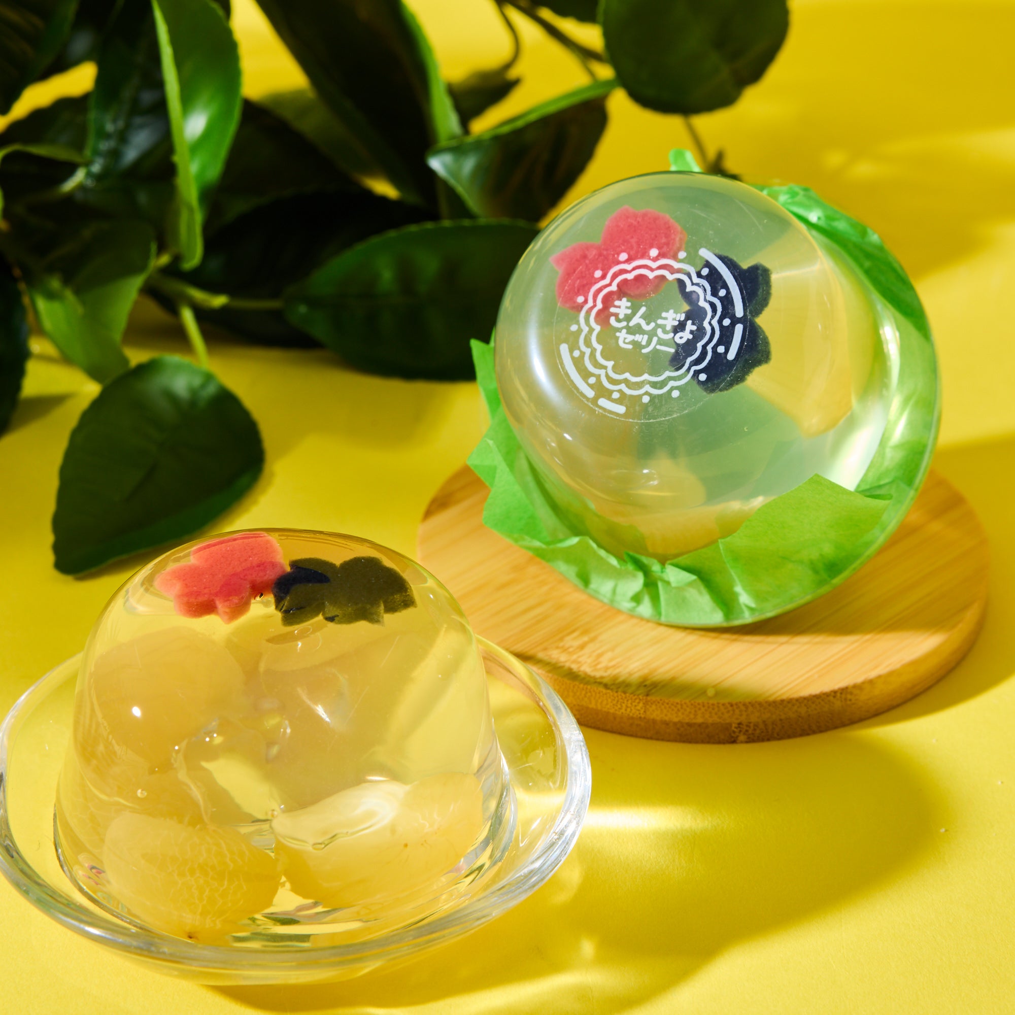Goldfish Jelly - Grape