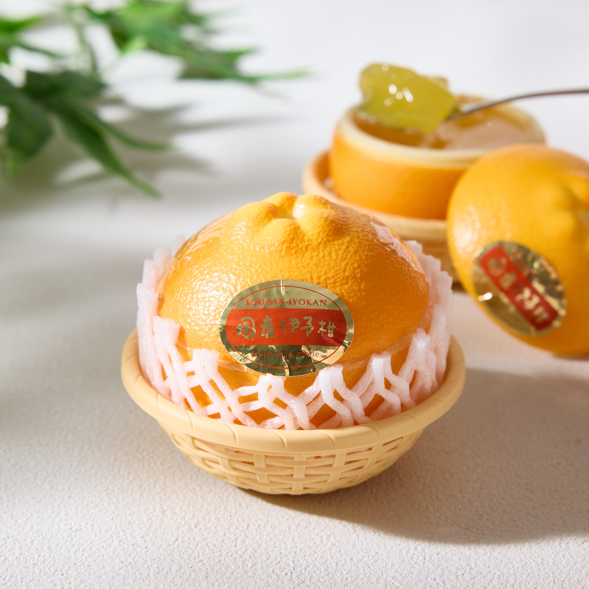 Nacollection! / onemi☆jelly Supply 4D fruit shape gel jelly soft gummy candy CH-J569