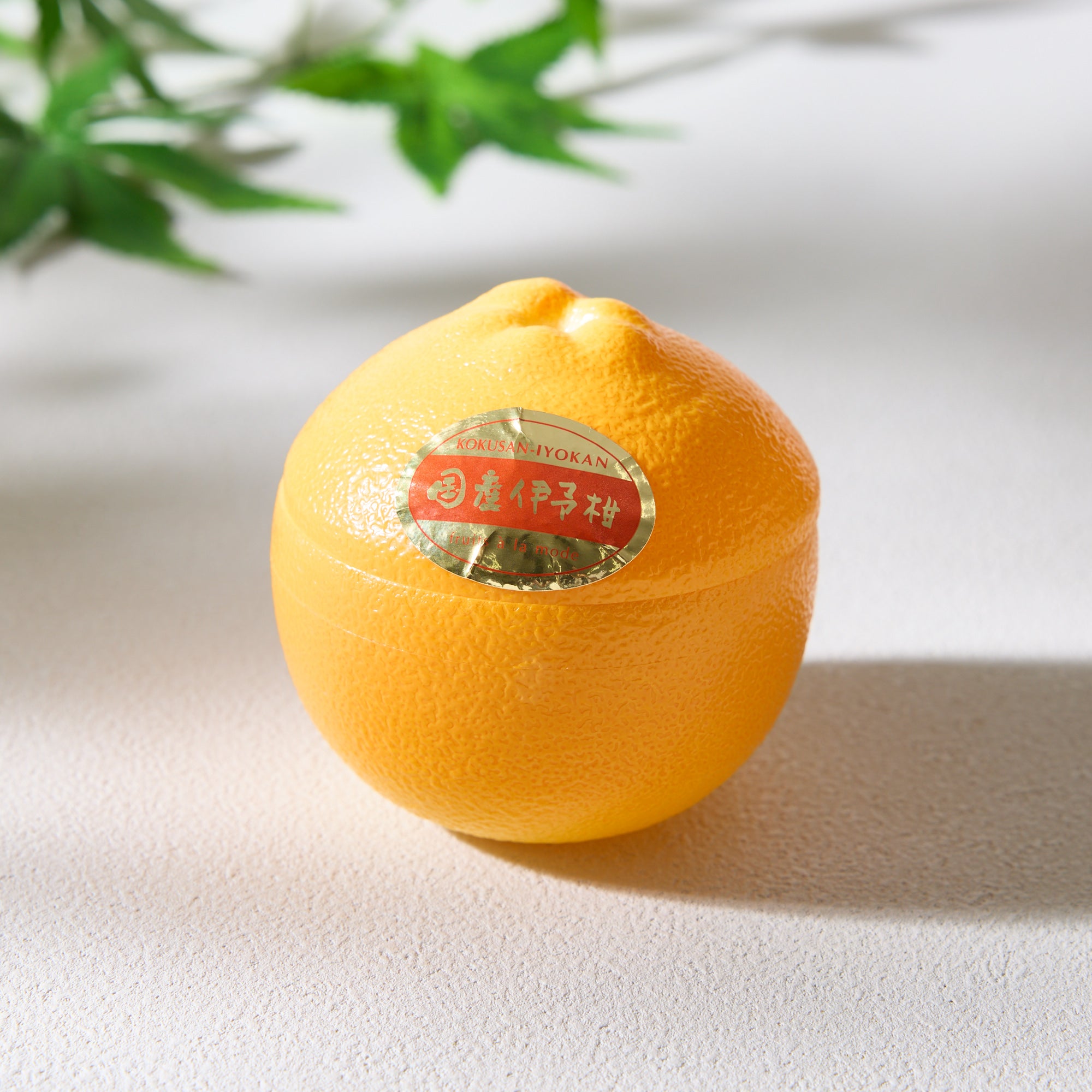 Fruits a la Mode Japanese Orange
