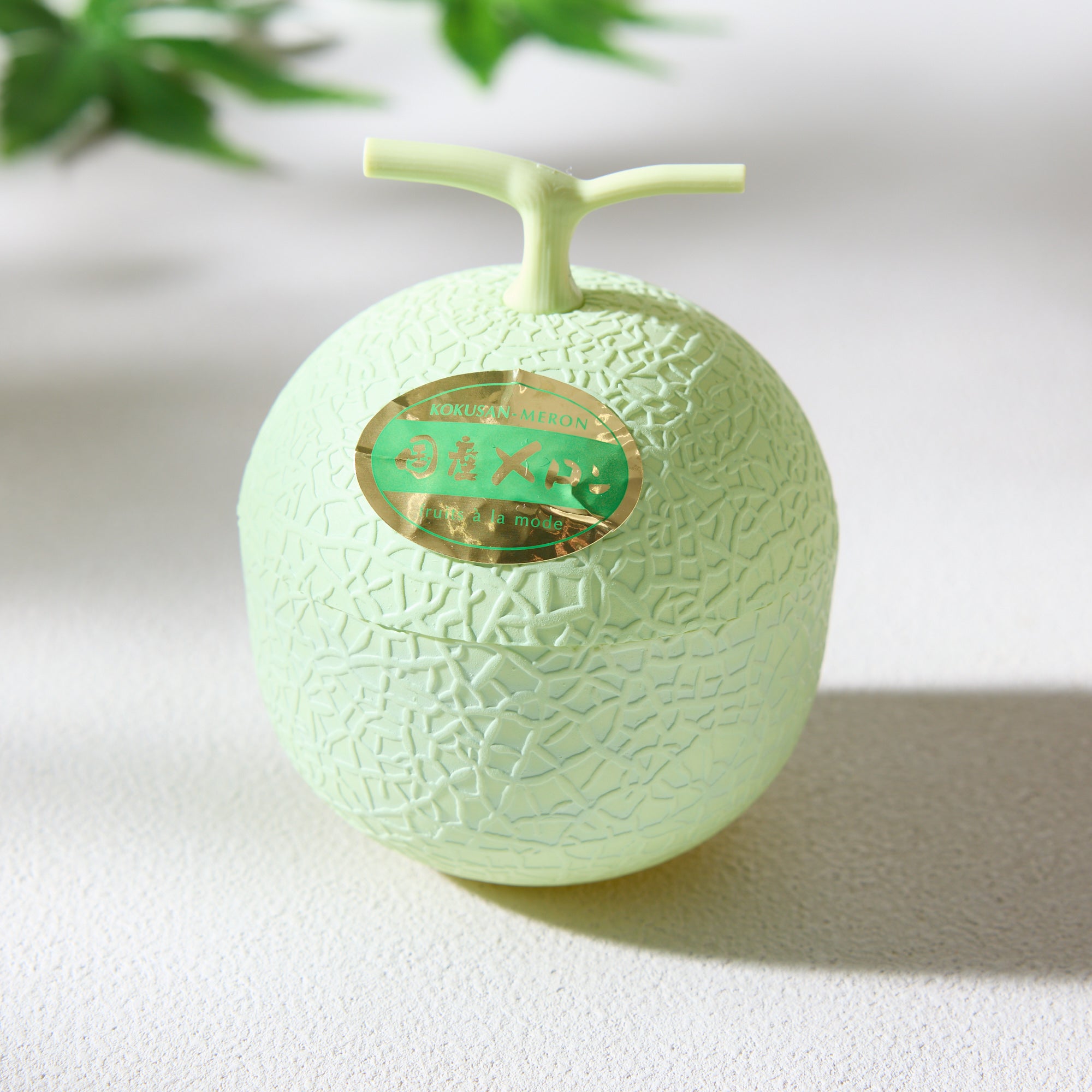 Fruits a la Mode Japanese Melon