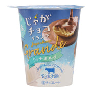 Chocolate Coated Chips