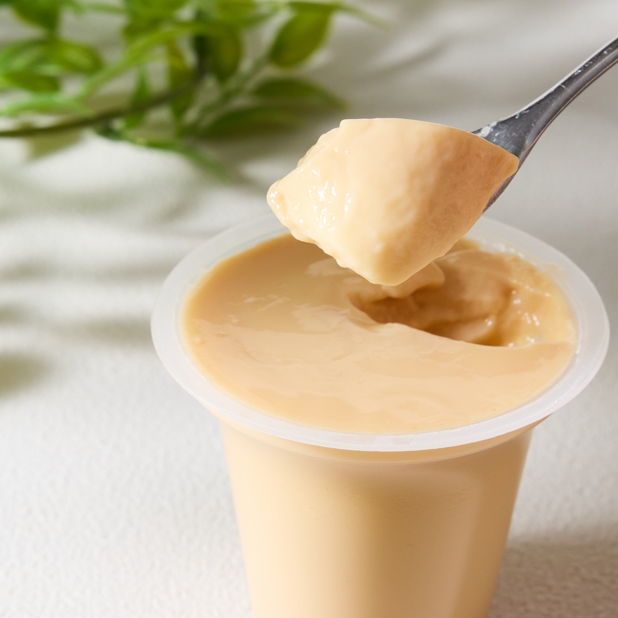 Wasanbon Sugar Pudding