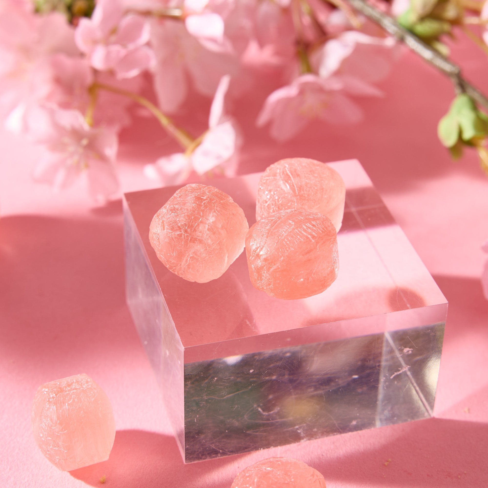 Sakura Kahoru Candy