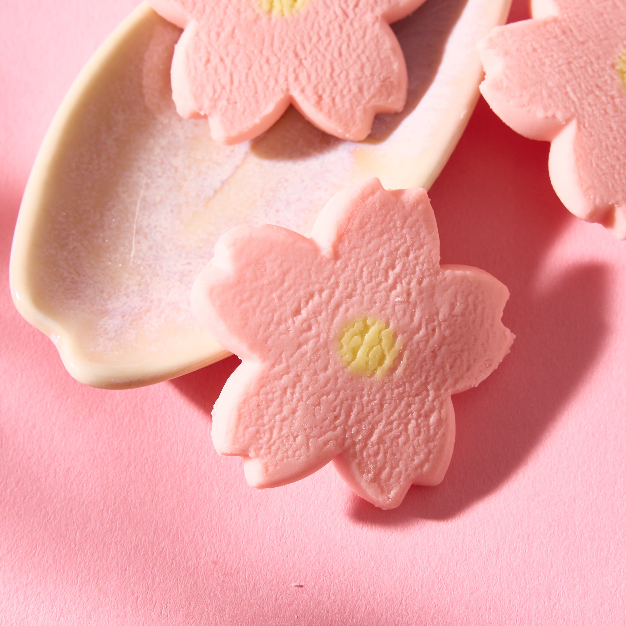 Sakura Kahoru Chocolate Cookies