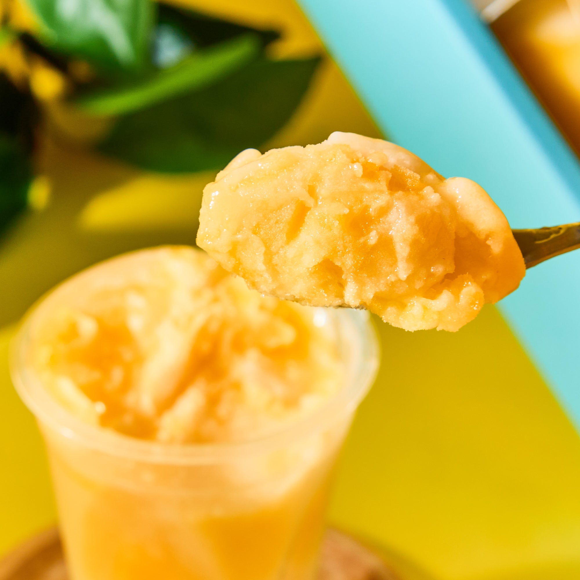Mango Frozen Dessert (6 pieces)