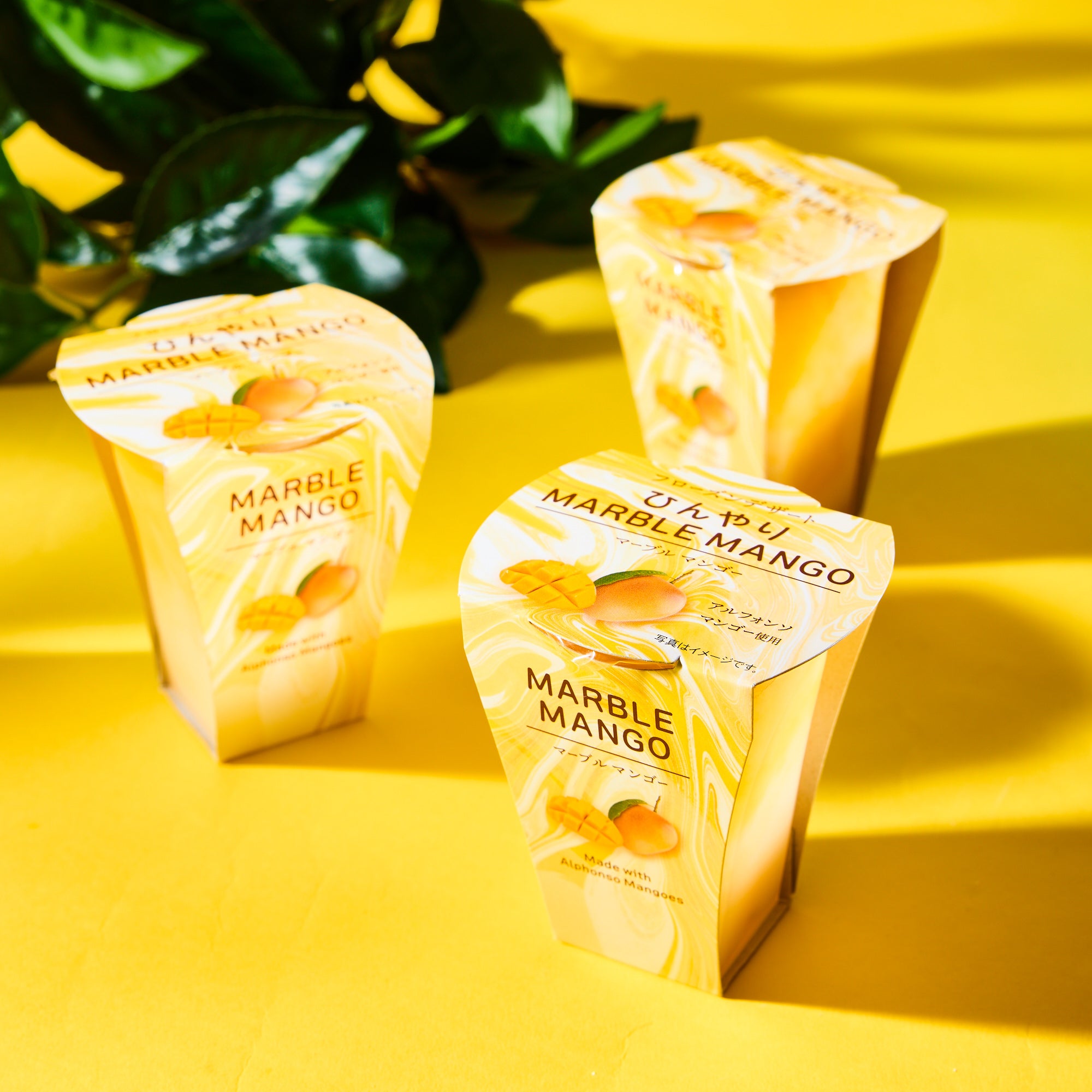 Mango Frozen Dessert (6 pieces)