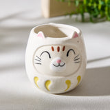 Daruma Cat Mug