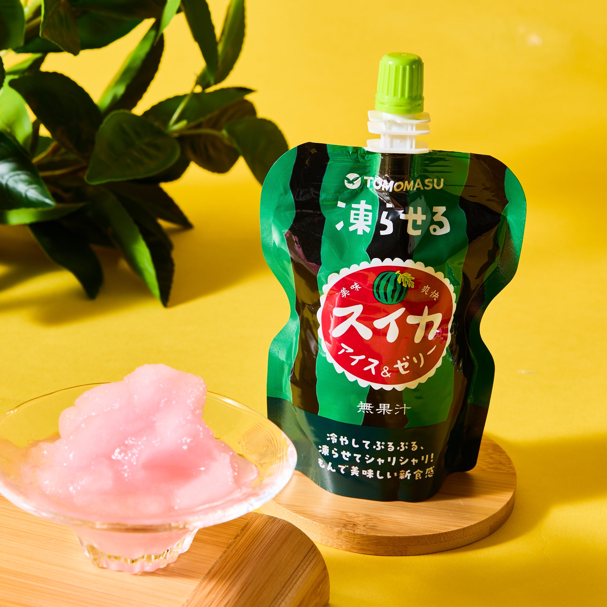 Watermelon Two Way Ice Cream or Jelly Pouch