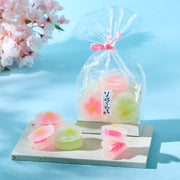 Sakura Haze Wagashi Jelly