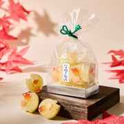 Autumn Leaves Wagashi Gummy