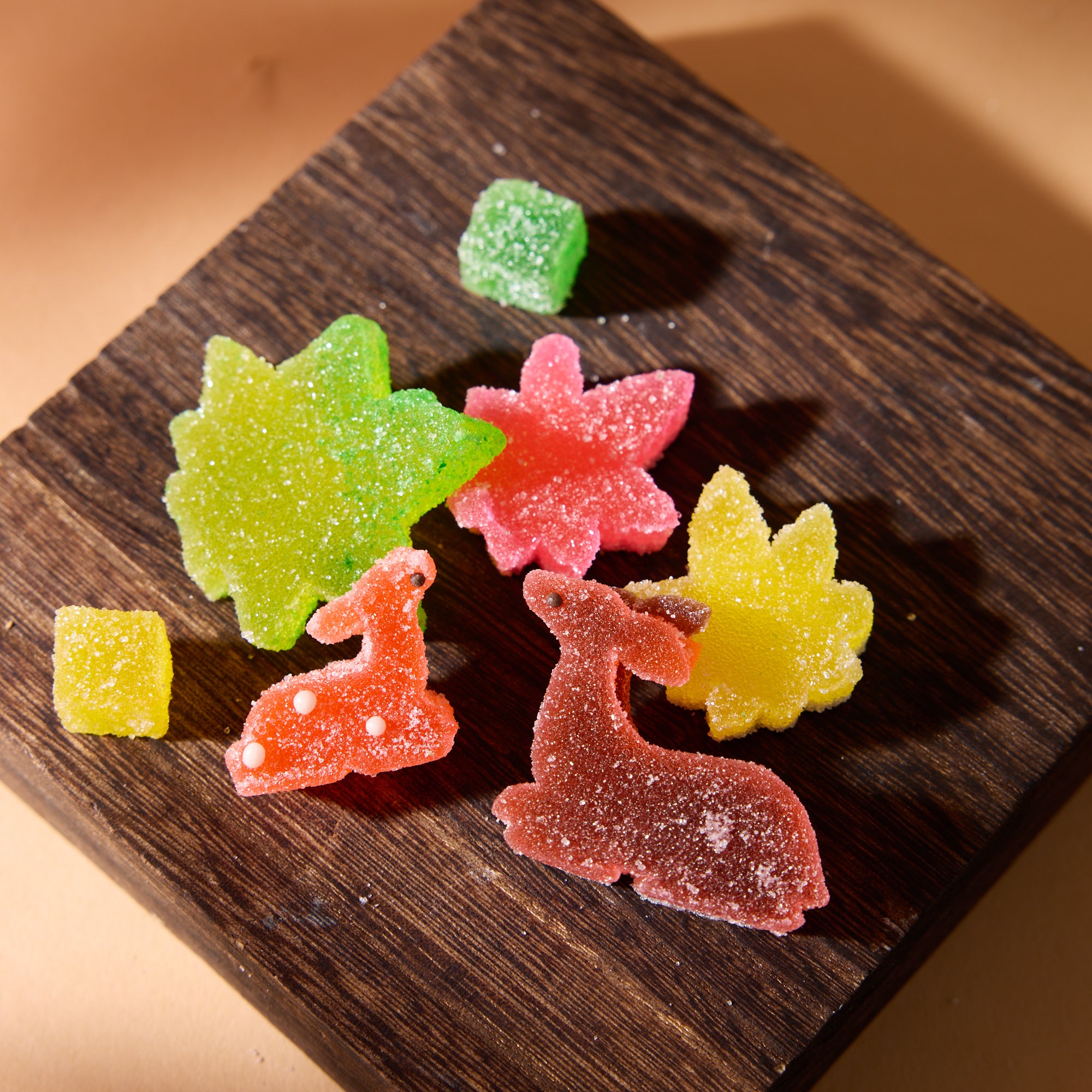 Autumn Deer Wagashi Gummy