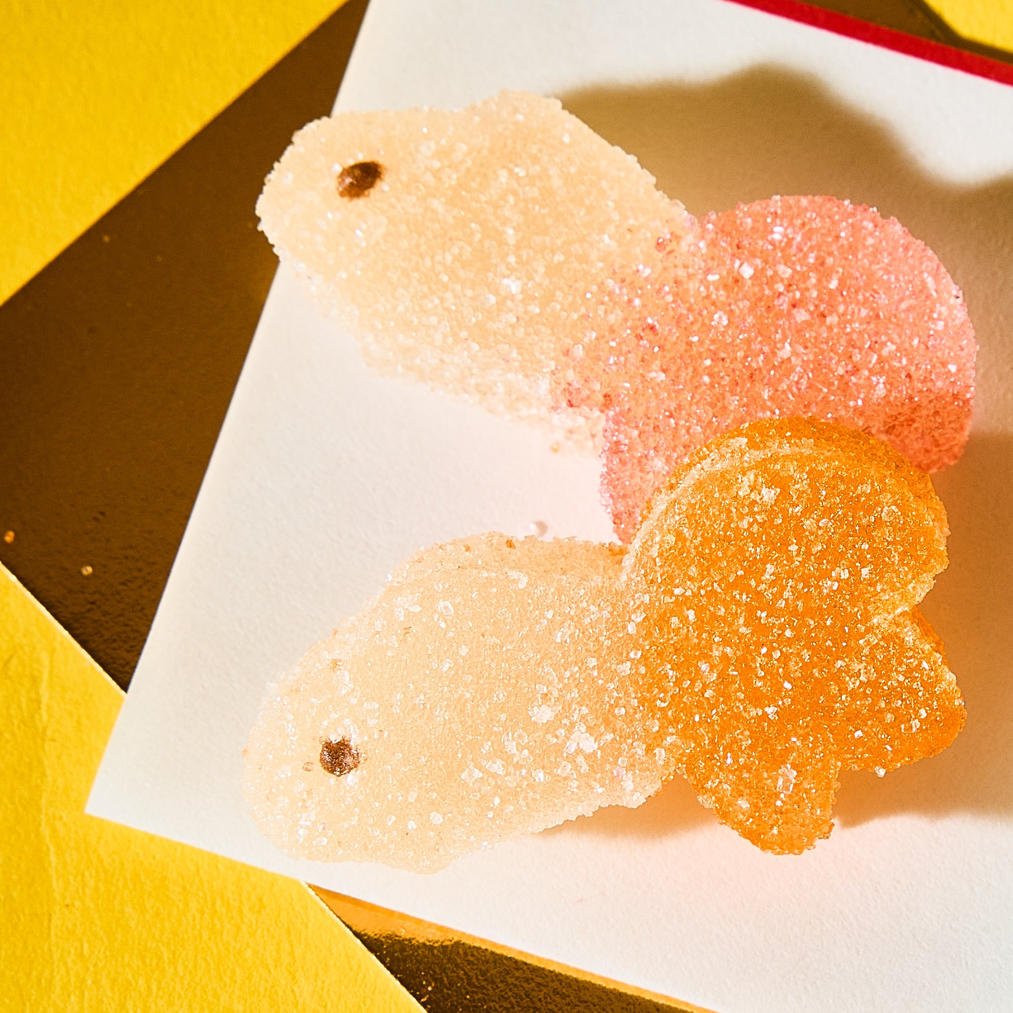 Goldfish Summer Jelly Gummy