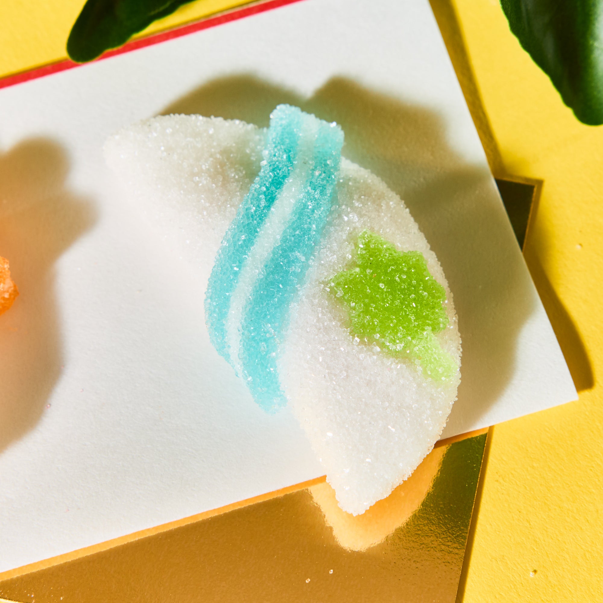 Goldfish Summer Jelly Gummy