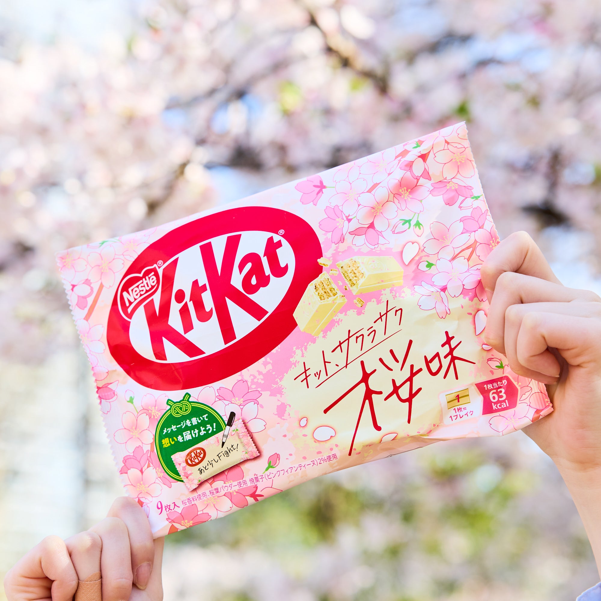 Sakura KitKats