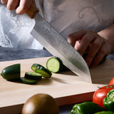 ZAKU Kamo Santoku