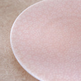 Miyama Mino Ware Sakura Plate