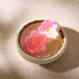 Sakura Jelly Candy (10 pieces)
