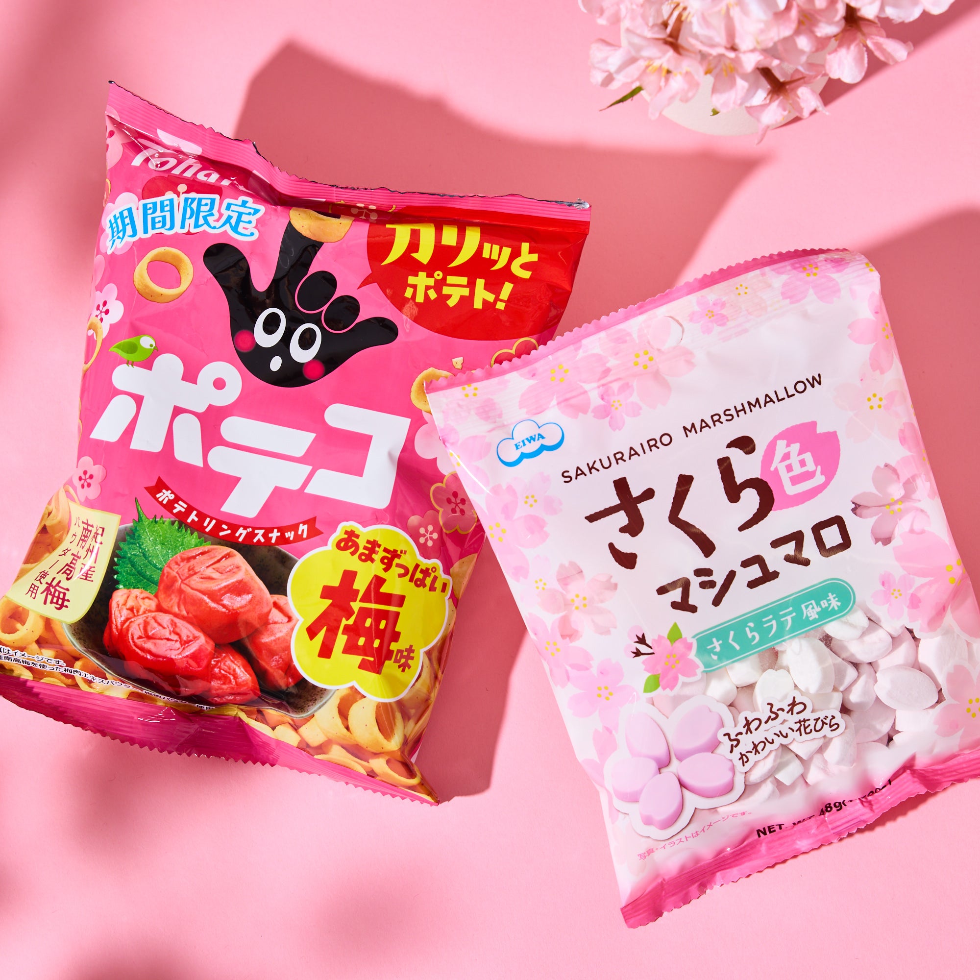 Sakura Lucky Bag 2026 – Japan Haul
