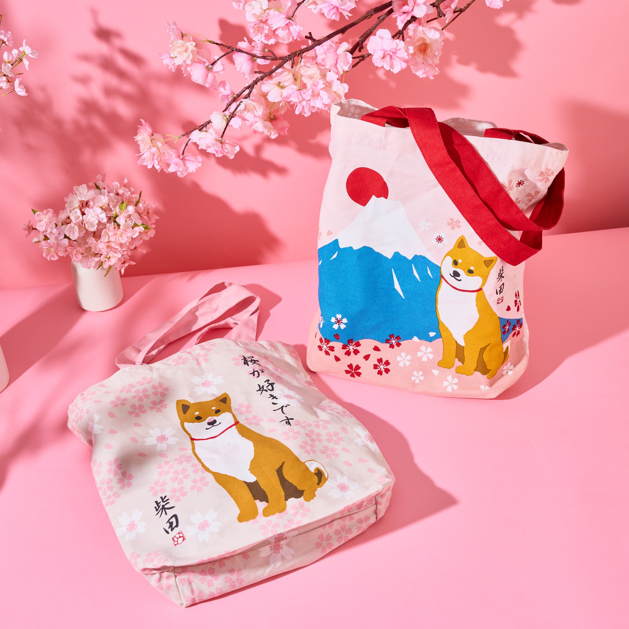 Sakura Lucky Bag 2026 – Japan Haul