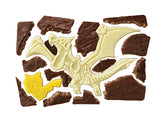 Pokemon Charapaki Excavation Chocolate